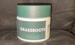 Grassroots RSO Capsules